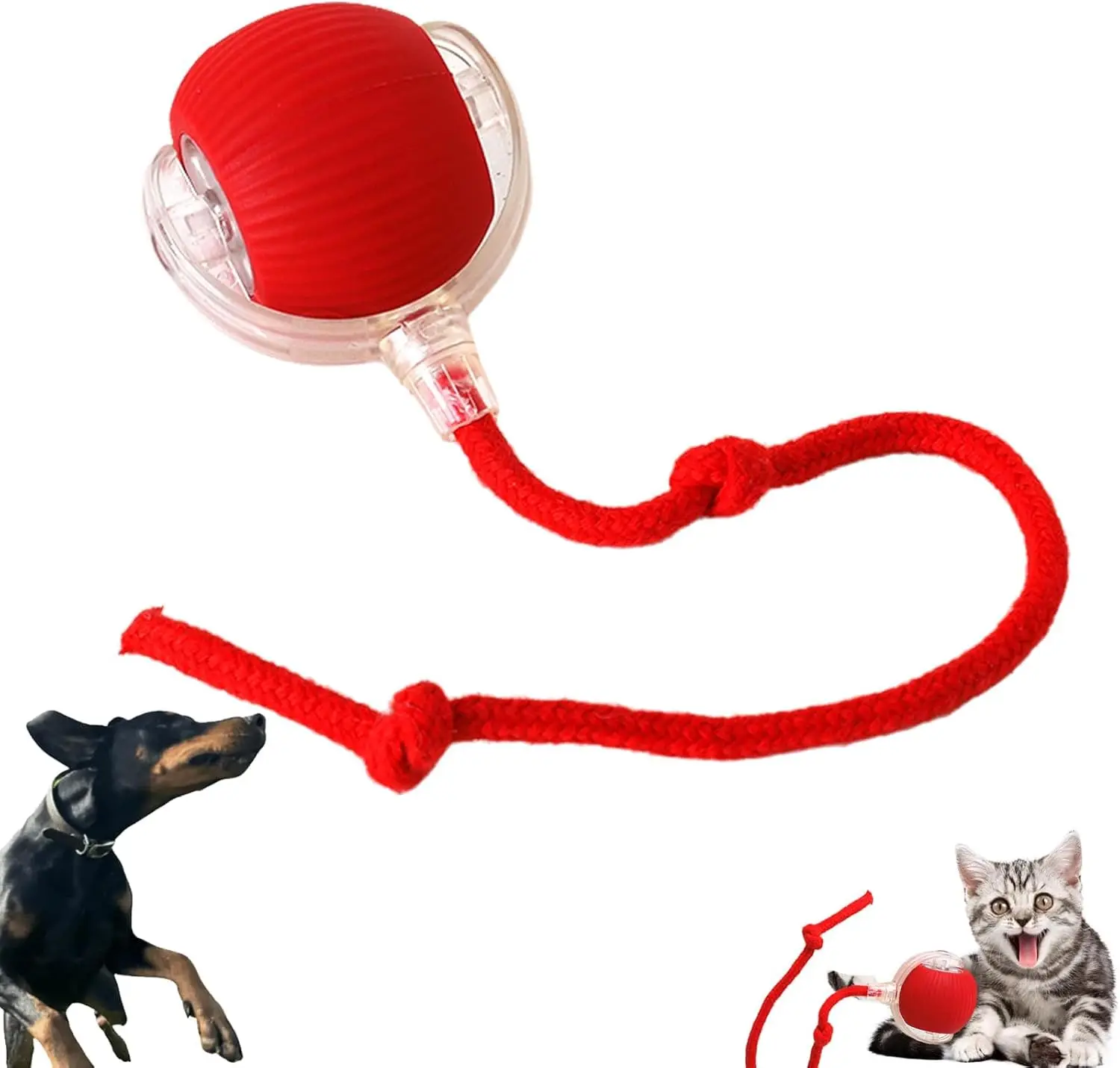 Bissfester automatischer Katzen-Spielball – interaktives Spielzeug für Katzen und Hunde mit Seil, selbstspielend und stressabbauend